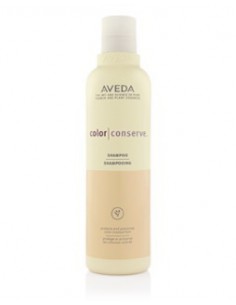 AVEDA Color Conserve™ Shampoo