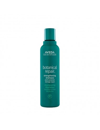 Aveda Botanical Repair Shampoo