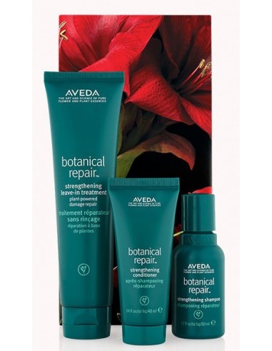 Aveda Botanical Repair Strengthening Hair Trio
