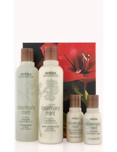 Aveda Rosemary Mint Set Natalizio