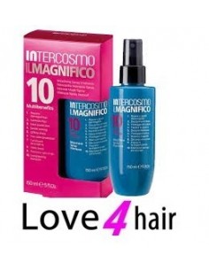 il magnifico intercosmo 2