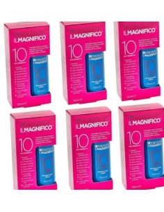 il magnifico intercosmo x6