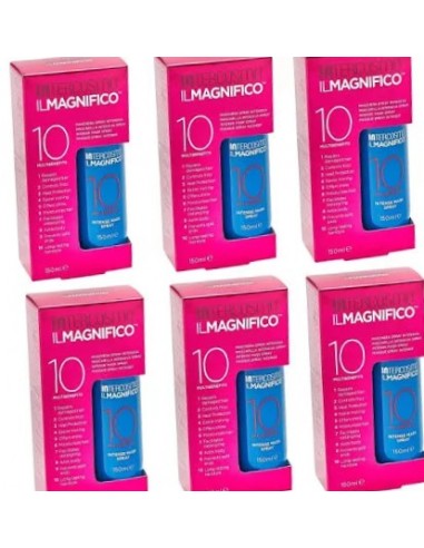 il magnifico intercosmo x6